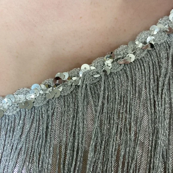 Spirit Halloween women’s silver flapper girl dress. Size adult small (4-6) - Picture 7 of 14